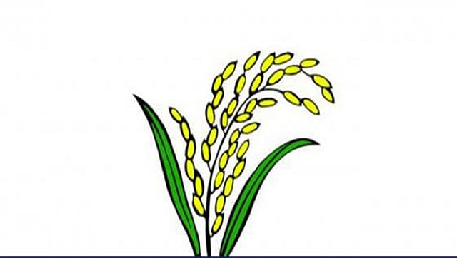 11 parties to contest with `Sheaf of Paddy`. Photo: UNB