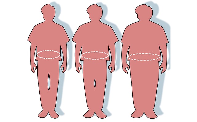 Higher values of waist-to-hip ratio are associated with more incidence of diseases associated with obesity. Photo: Collected