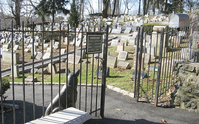 A collected photo of a pet cemetery used symbolically