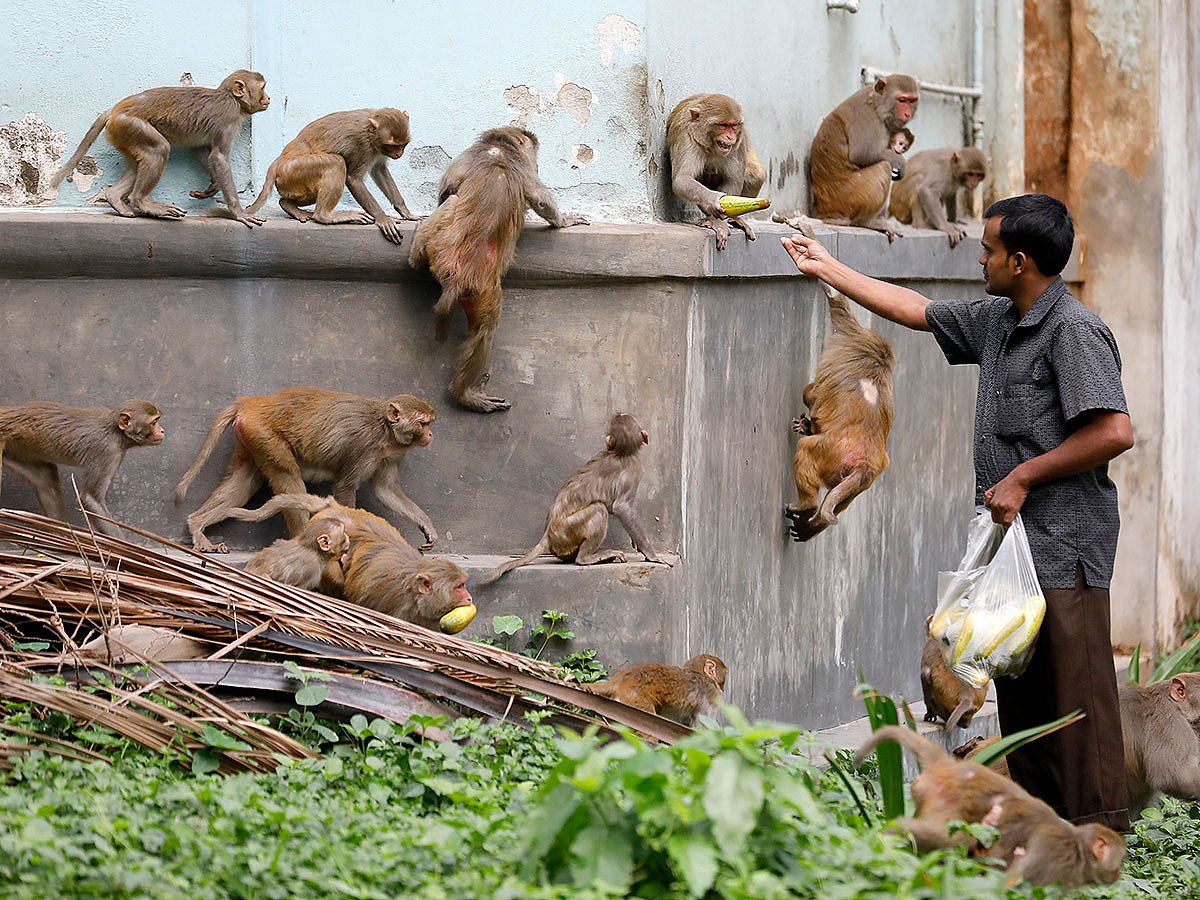 Photo : Dipu Malakar