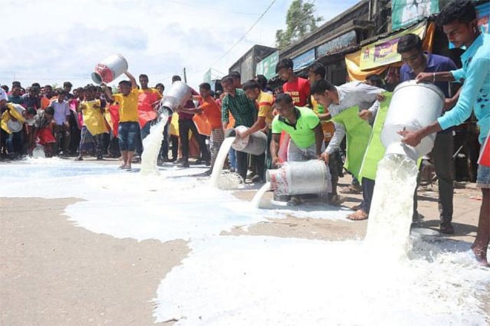 A number of farmers with placards took position at Bhangura bus stand in the afternoon and poured milk on the road.Photo: Hasan Mahmud