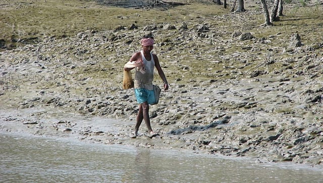 A fisherman catches fish with throwing net in the Sundarbans. Photo: UNB