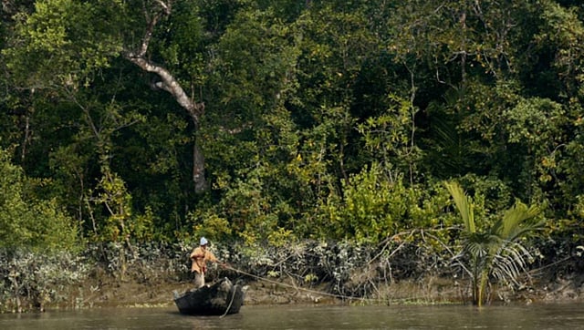 A fisherman catches fish in the Sundarbans. Photo: UNB