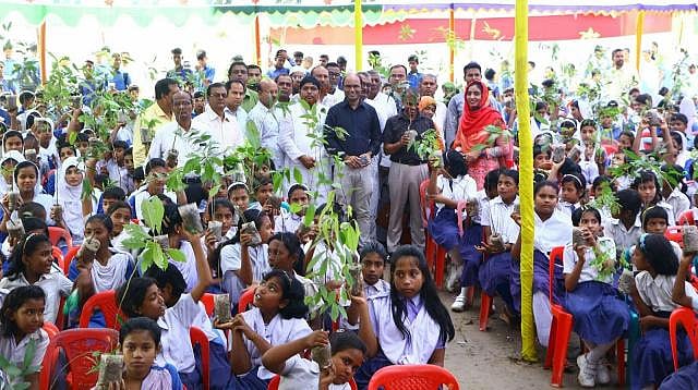 Bagha Model High School students plant trees on 16 September 2019. Photo: Prothom Alo