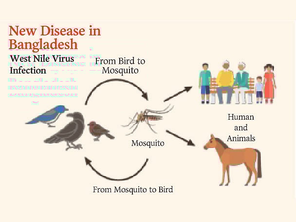 A Prothom Alo Infograph
