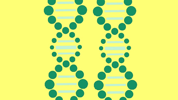 A Pixabay illustration