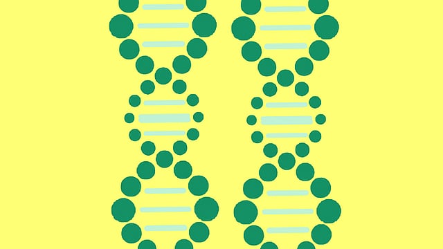 A Pixabay illustration