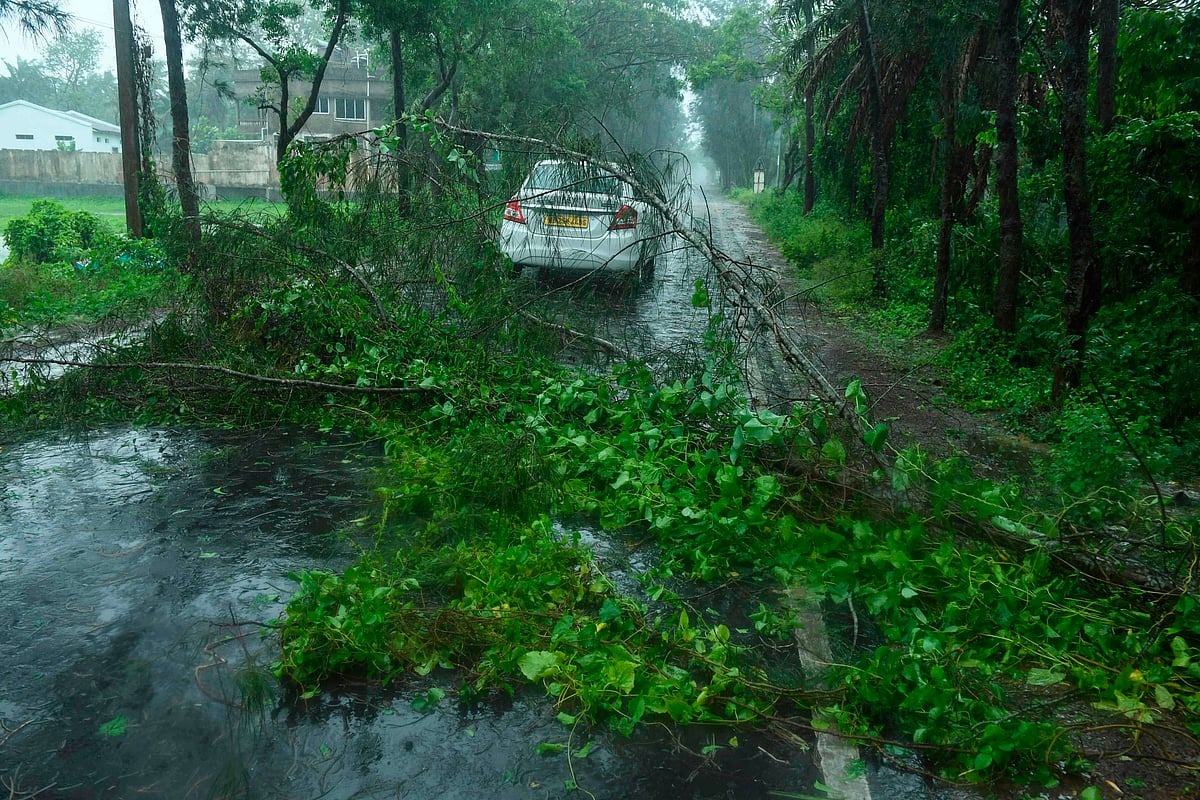 A car drives past fallen tree branches along a road ahead of the expected landfall of cyclone Amphan in Digha, West Bengal, on 20 May 2020