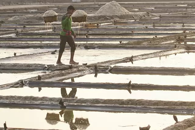 A slat farmer works at a farm in Patiya, Chattogram
