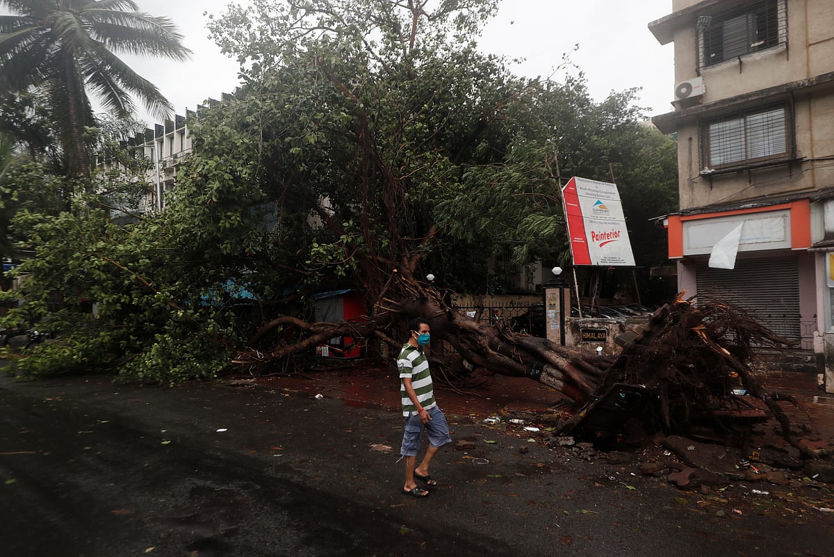 A man walks past an uprooted tree on a street after cyclone Nisarga made its landfall on the outskirts of the city, in Mumbai.