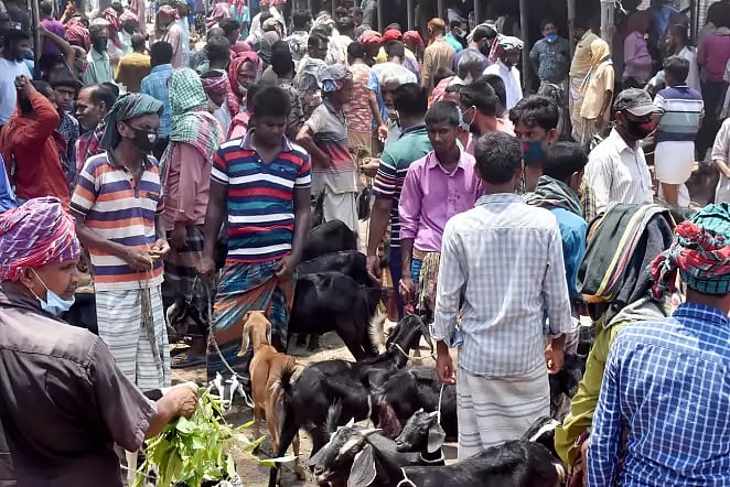 People crowd at a cattle market amid coronavirus outbreak.