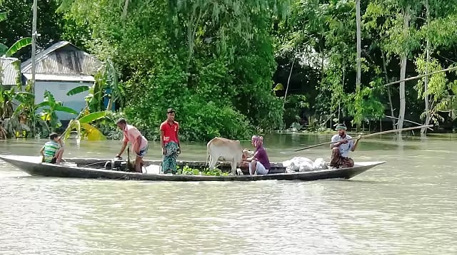 This photo is taken from Gobindi village in Gaibandha district.