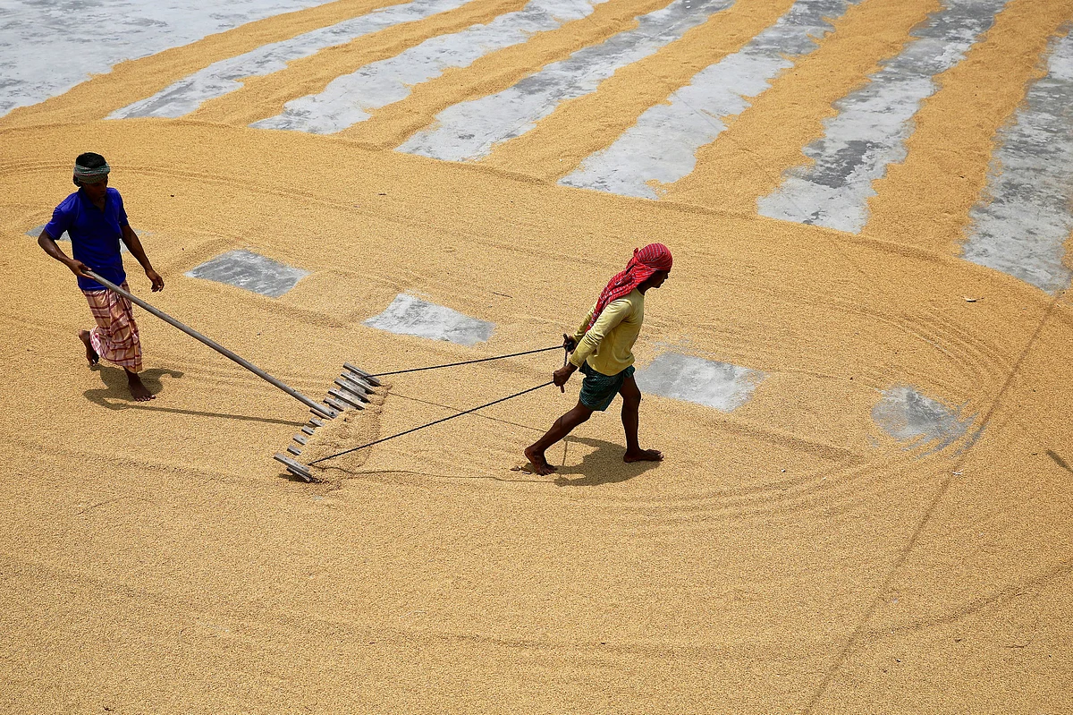 Workers sun dry paddy at a rice processing mill after reopening amid concerns over the coronavirus disease (COVID-19) outbreak in Munshiganj, outskirts of Dhaka, Bangladesh, 8 July 2020