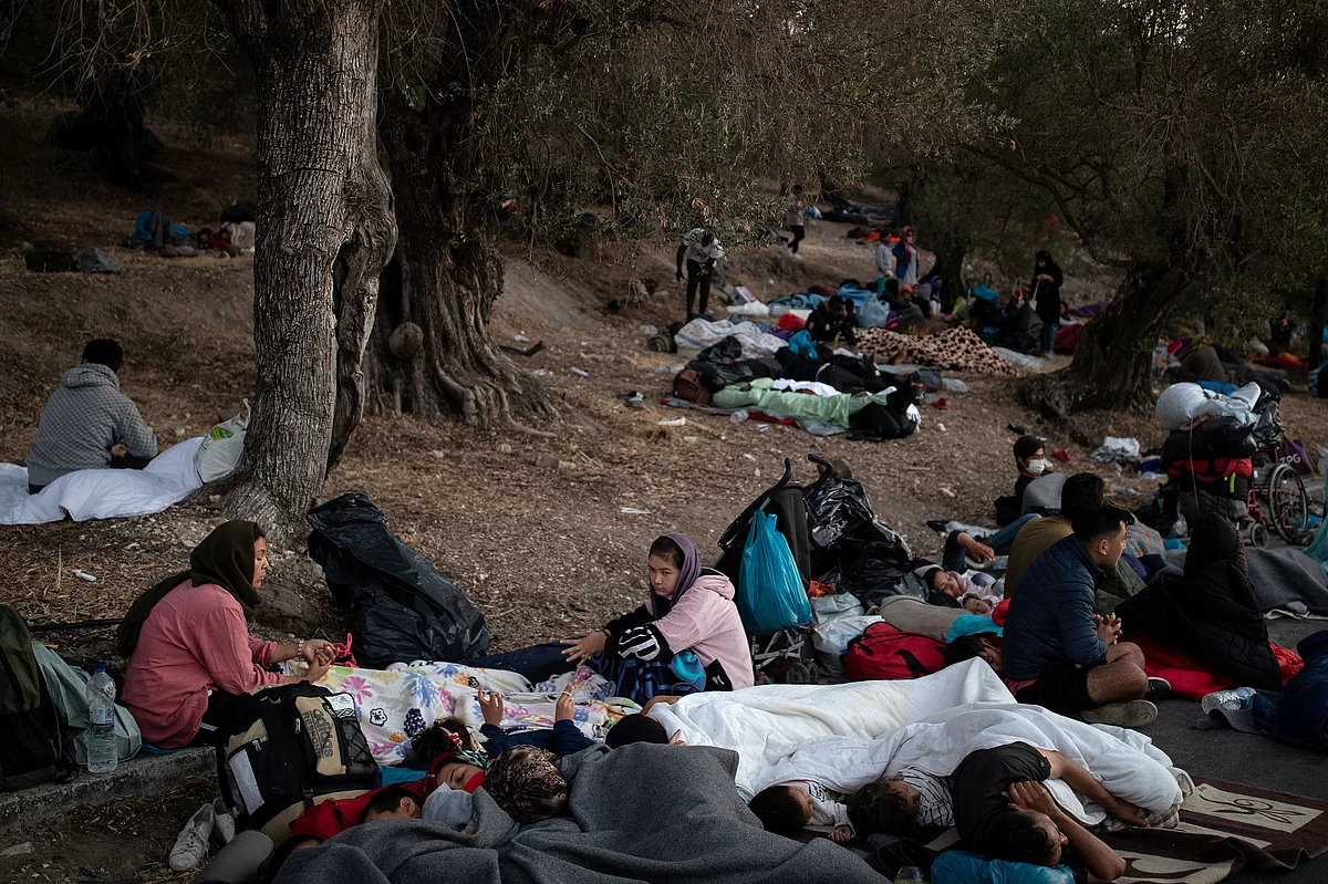 Refugees and migrants find shelter in the woods following a fire at the Moria camp on the island of Lesbos, Greece, 10 September 2020