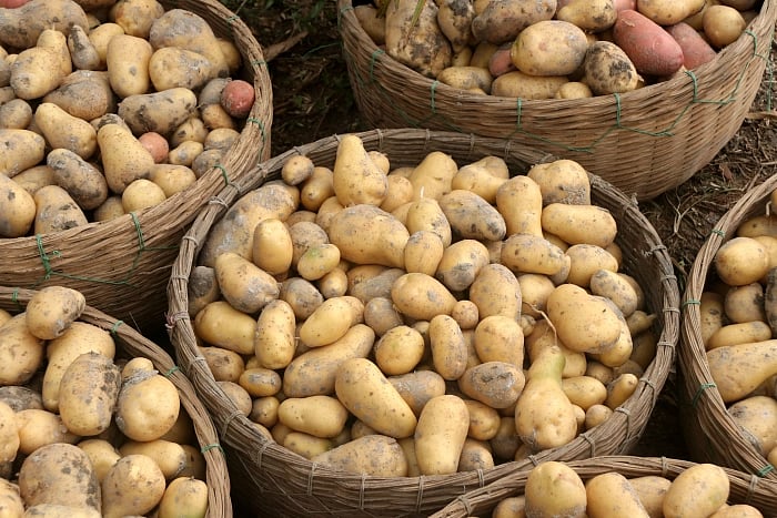 Potatoes
