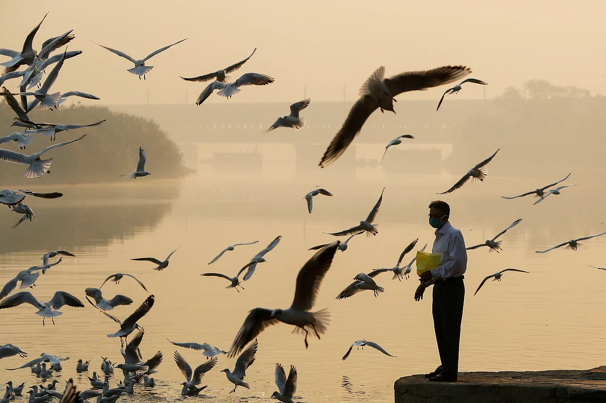 A man feeds seagulls as he stands on the banks of Yamuna river, on a smoggy morning in New Delhi, India on 24 October 2020