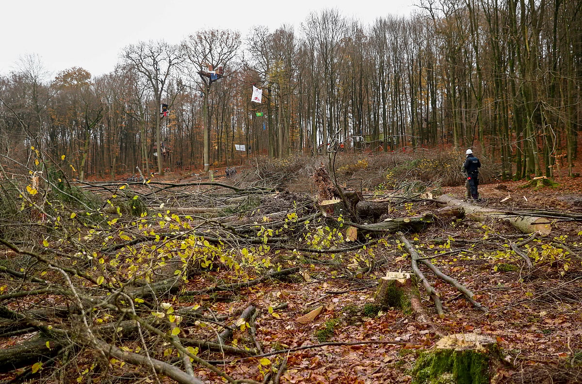 A view shows cut down trees and tree houses in the background during a protest against the extension of the A49 motorway, in a forest near Stadtallendorf, Germany on 17 November 2020