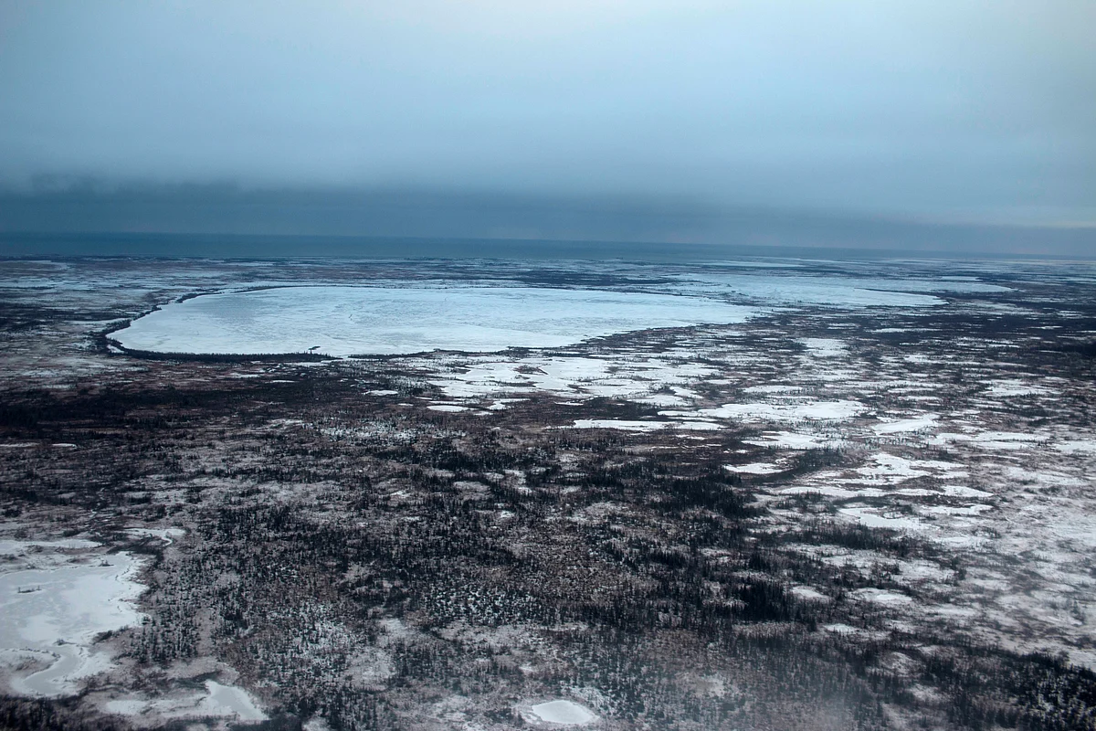 Aerial shot of the tundra surrounding Churchill pockmarked by shallow kettle lakes that formed when glaciers retreated in Manitoba, Canada, on 25 October 2020
