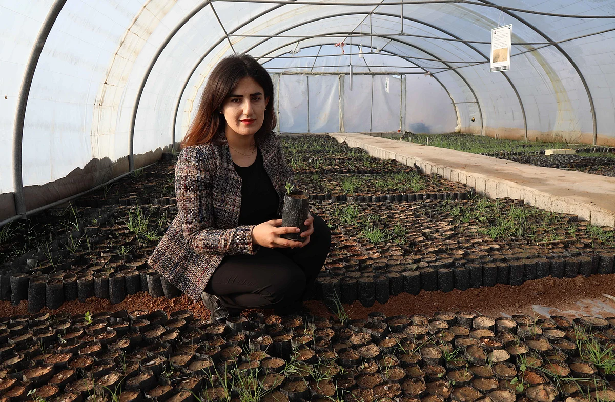 Iraqi Kurdish Delband Rawanduzi holds an oak sapling at a nursery in Arbil, the capital of the northern Iraqi Kurdish autonomous region, on 12 January