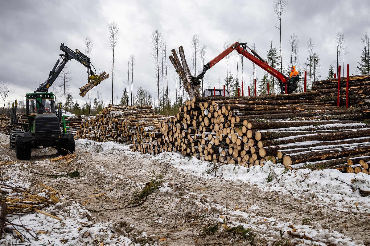 This picture taken on 16 March 2021, shows forwarder machines stack felled trees at a forestry plot near Vologda, 500 kilometres northeast of the Russian capital Moscow