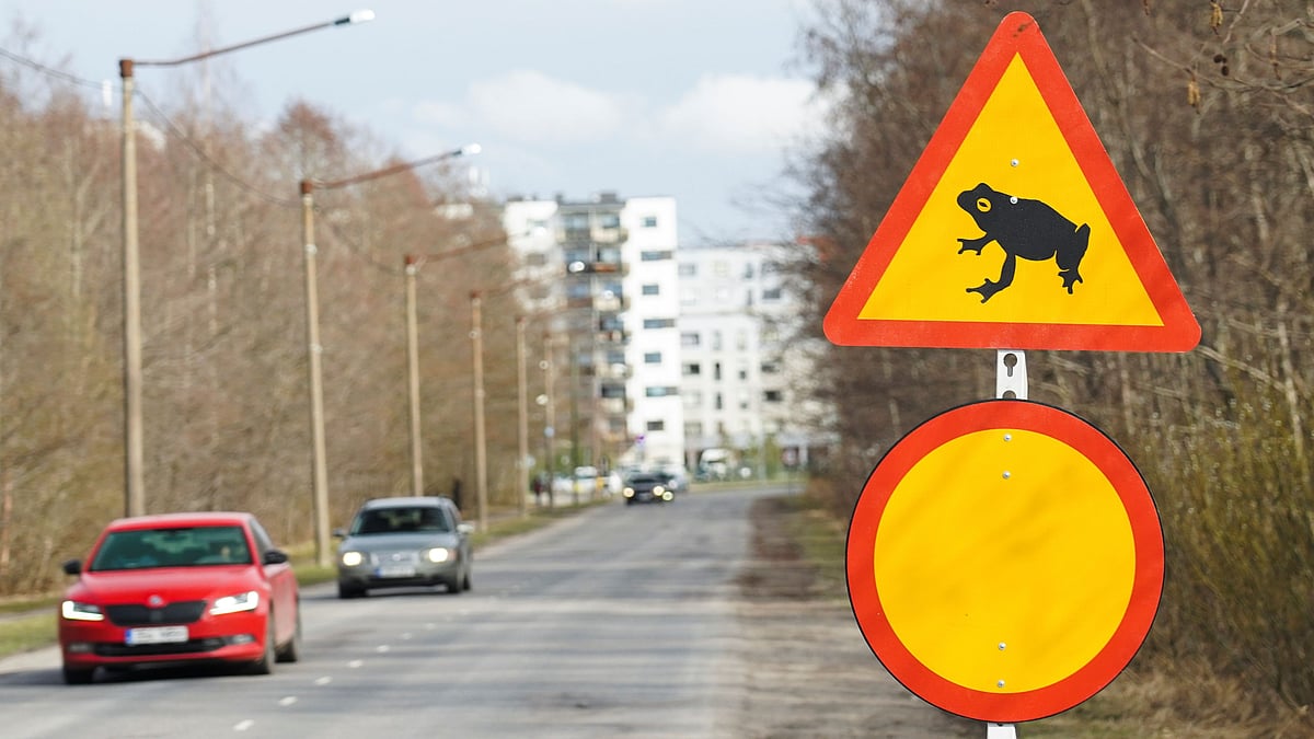A road sign depicting a frog is seen on a closed road section in Tallinn, Estonia on 13 April 2021