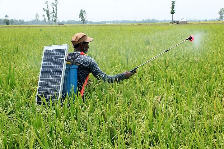 A farmer sprays pesticides to the paddy field using solar power instead of batteries. The picture was taken from Sherpur in Bogura on 30 May.