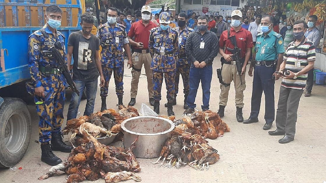 Airport Armed Police Battalion members show dead chickens to media