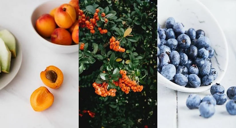 A nutrition filled diet is so important in maintaining a healthy lifestyle