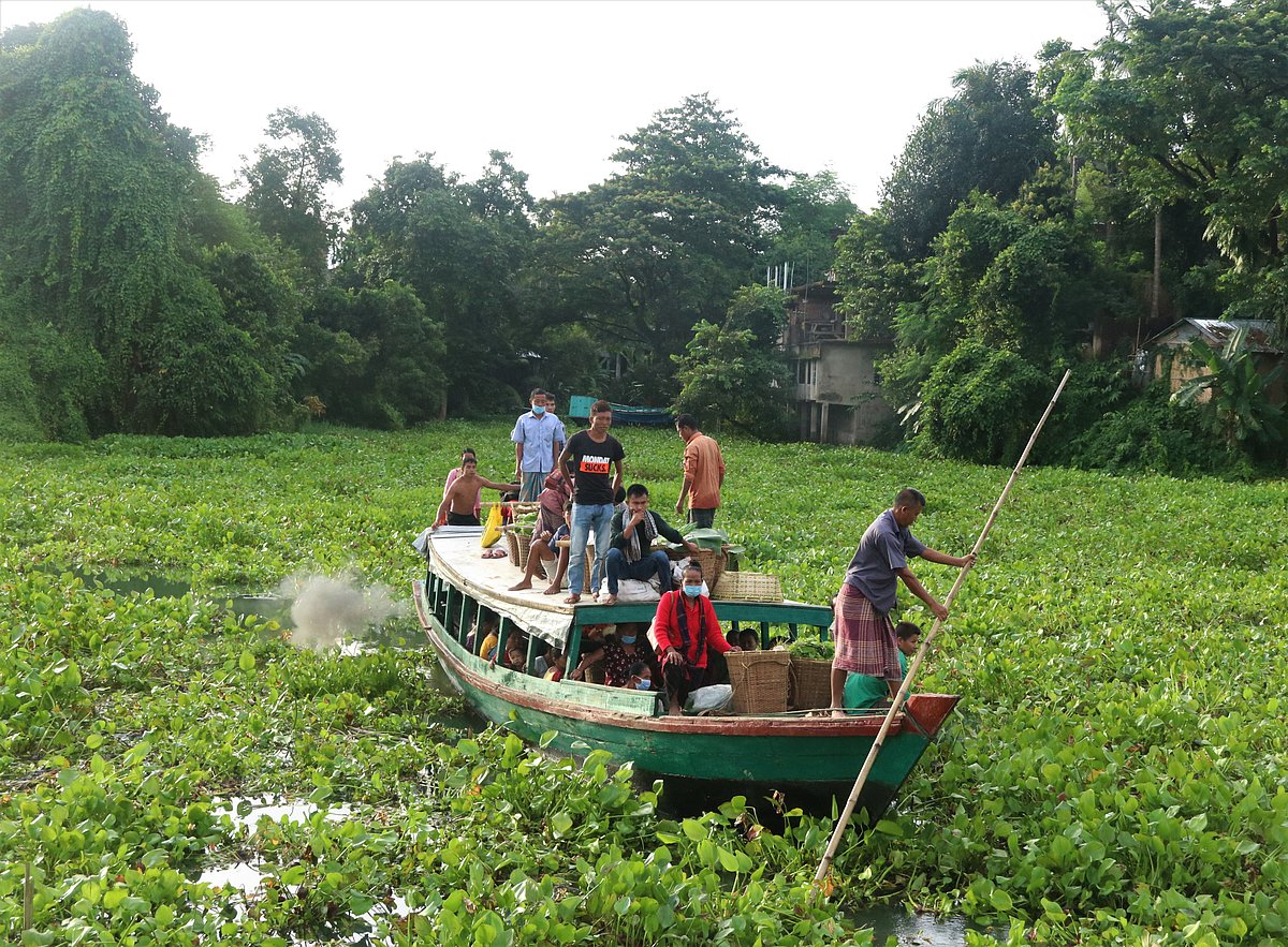 Hyacinths hamper the movement of engine boats in Kaptai Lake, causing miseries to locals. The picture was taken from Tabalchharighat of Rangamati on 15 September 2021.