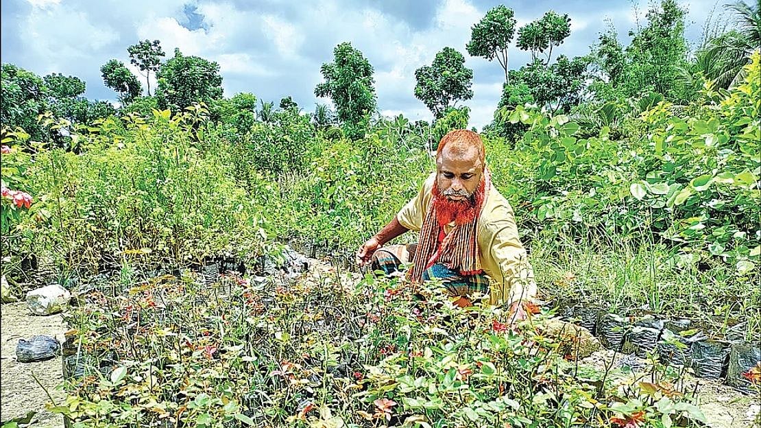 Mosharraf Gazi working in his nursery
