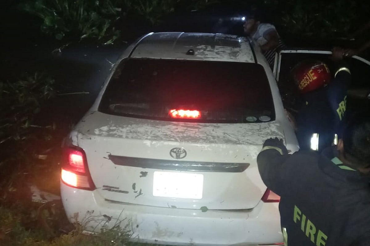 The car that plunged into pond