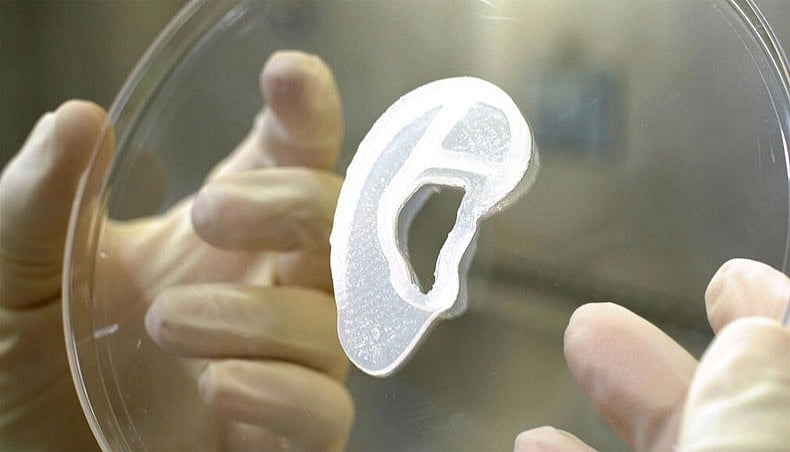 This undated image courtesy of 3D Bio Therapeutics, shows a 3D print of an ear lobe.