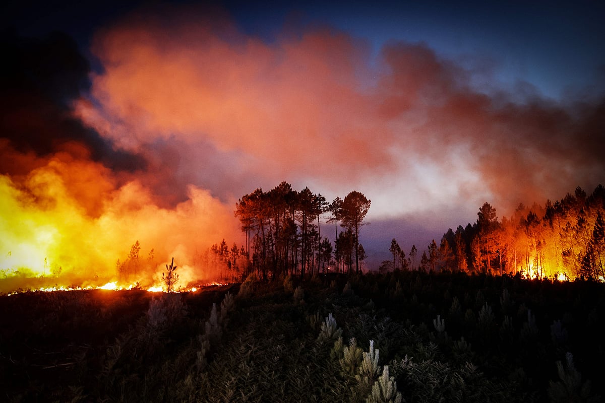 A photo shows a forest fire in Louchats, south-western France, on 17 July, 2022