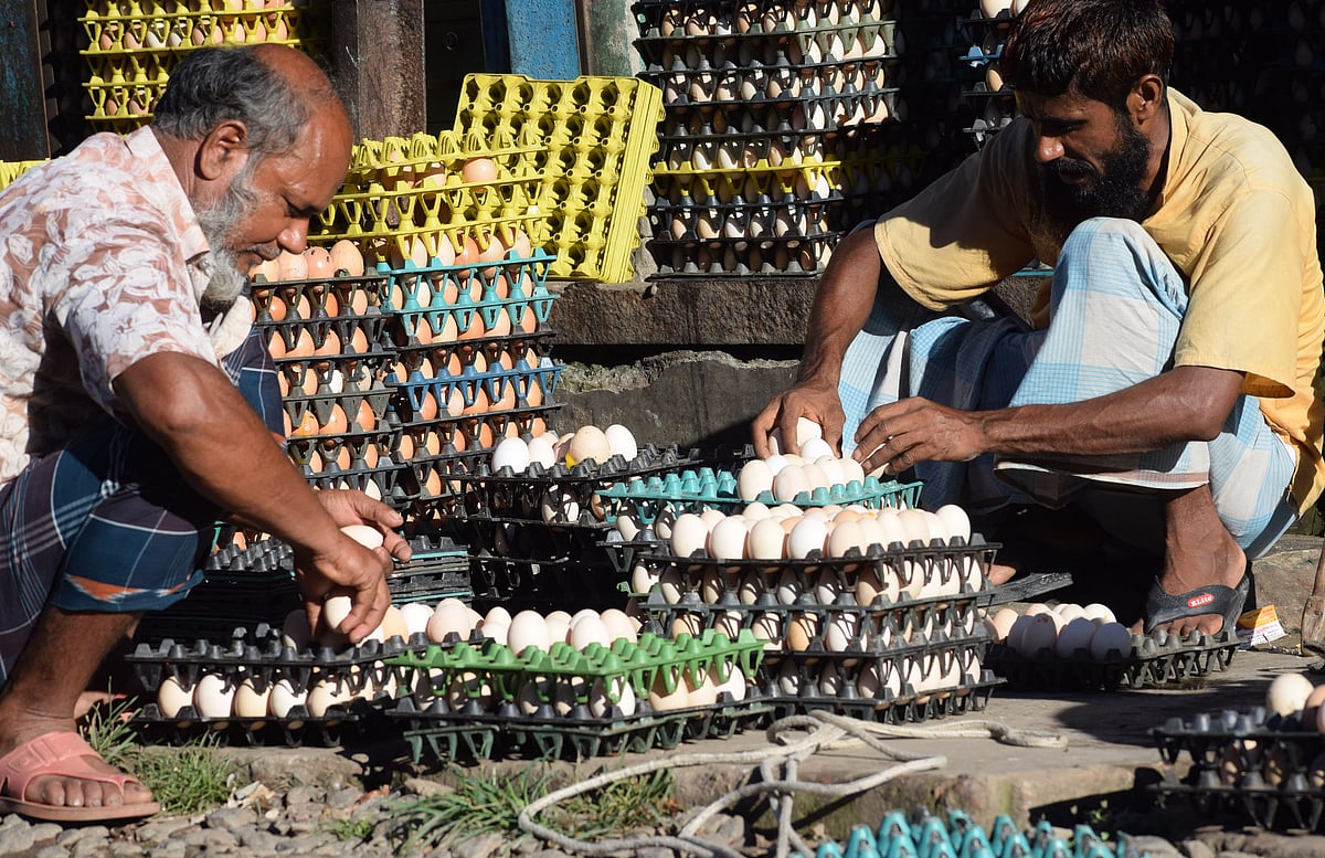 Two traders collect eggs in Razabar, Bogura on 15 August 2022.Price of egg rises by Tk 48-52 a dozen triggered by fuel oil price hike recently.