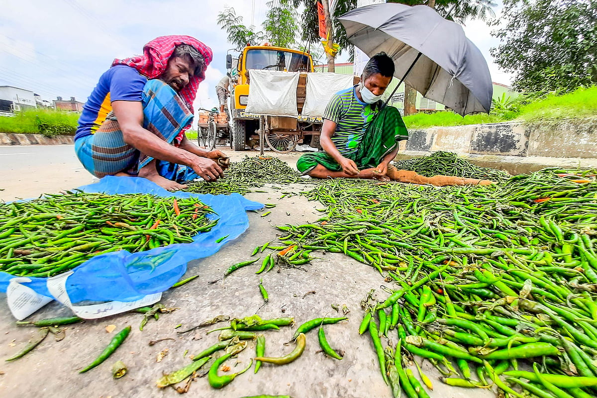 Two sellers sort out rotten green chilies on the road. The picture was taken from Sonadanga area in Khulna.