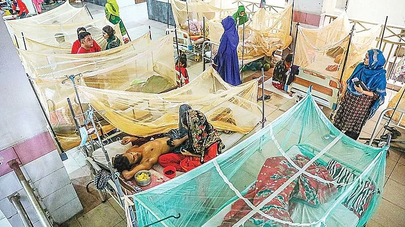 Dengue patients at Mugda General Hospital