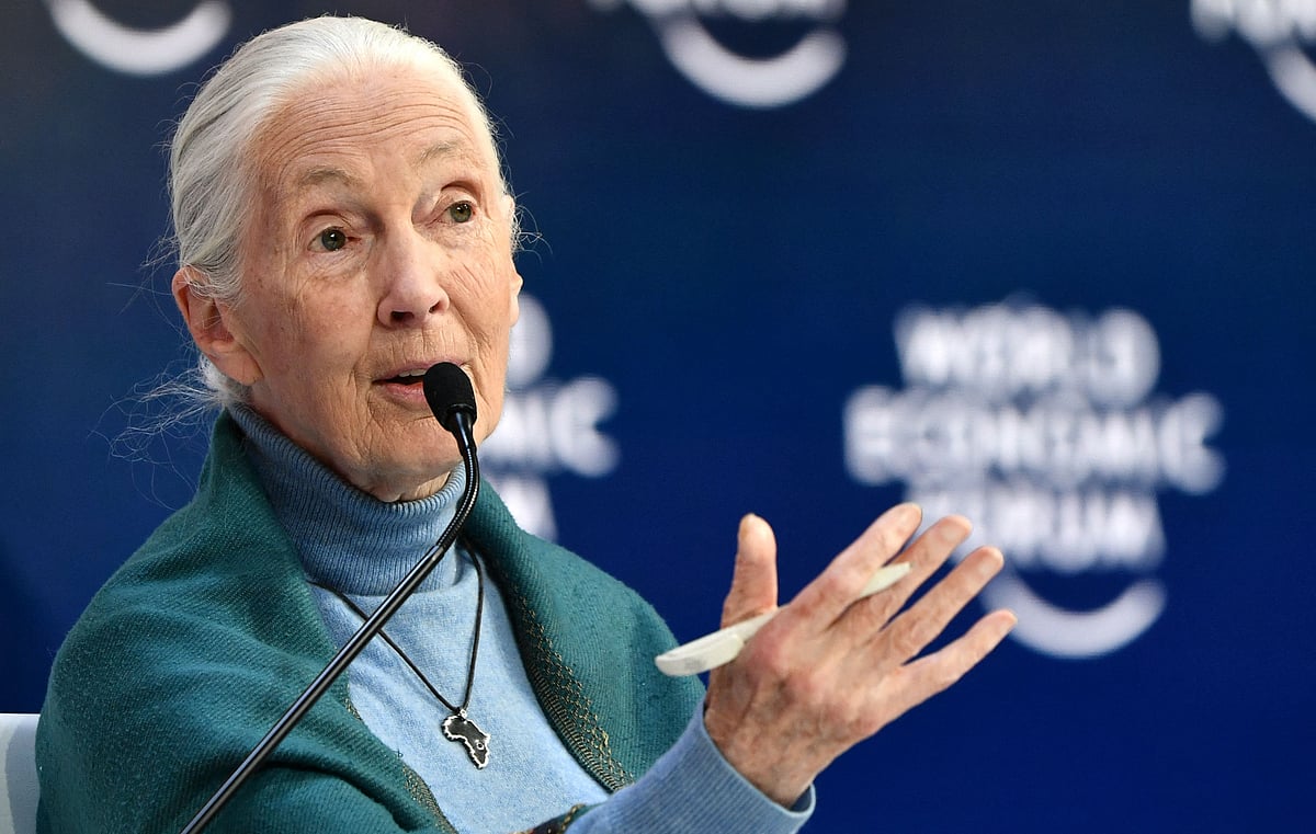 In this file photo taken on 22 January, 2020 Jane Goodall UN Messenger of Peace, speaks at the Securing a Sustainable Future for the Amazon, during the World Economic Forum in Davos, Switzerland.