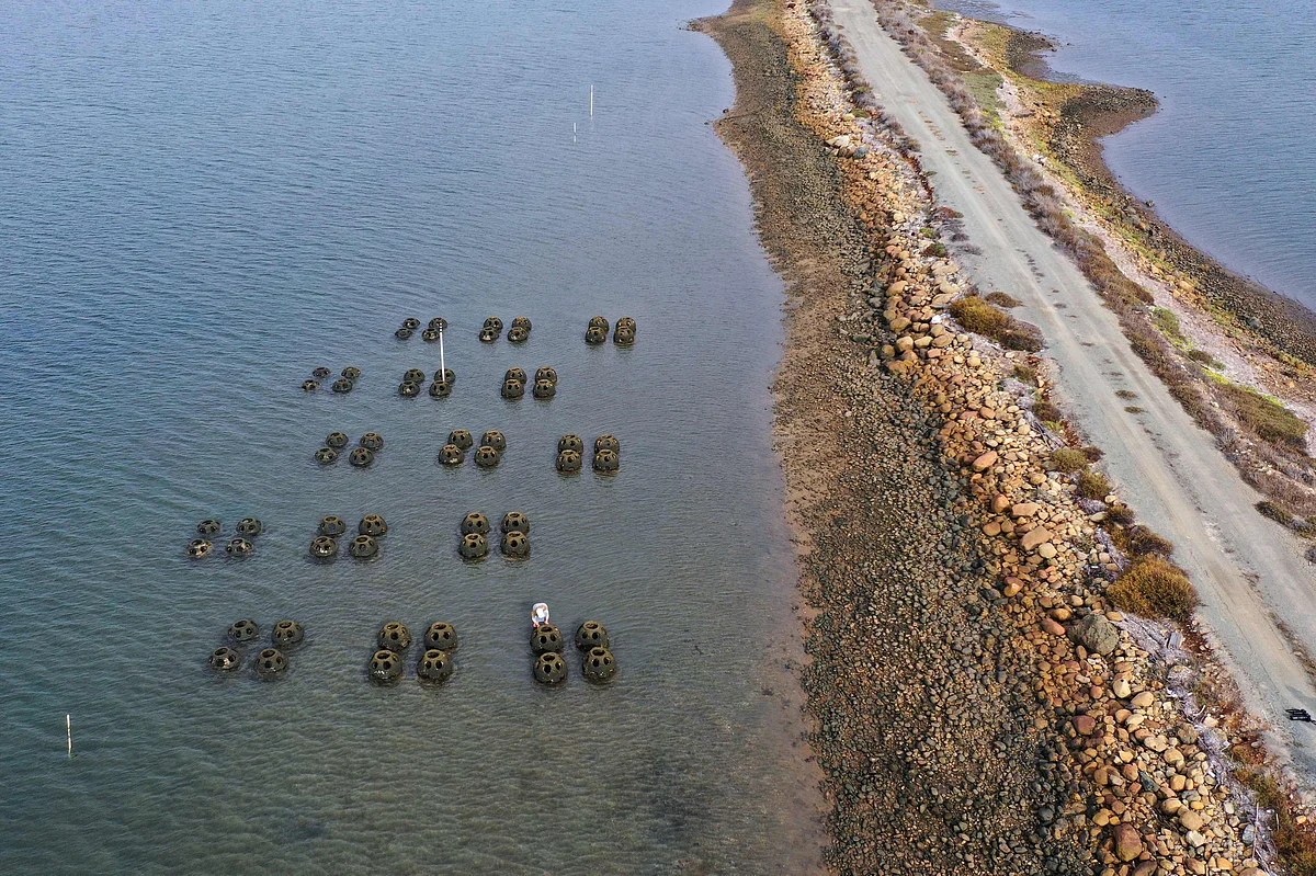 An aerial view shows reef balls, made from a mixture of cement, sand and crushed oyster shells and part of the South Bay Native Oyster Living Shoreline Project, September 30, 2022 near the Chula Vista Wildlife Refuge in Chula Vista, California