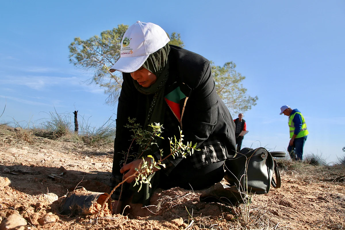A volunteer plants a tree inside the natural Ashaafean park, Libya's first and only UNESCO listed biosphere reserves, in Msallata, Libya, 9 December, 2022