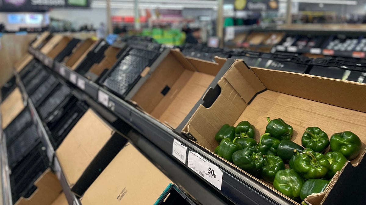 A photograph taken on 24 February, 2023, shows a few peppers among empty shelves at a Sainsbury supermarket in east London