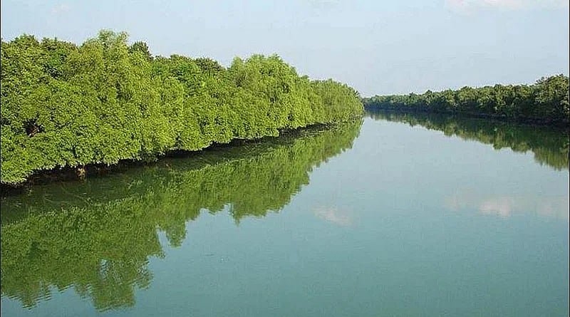 The Sundarbans, the world's largest mangrove forest .