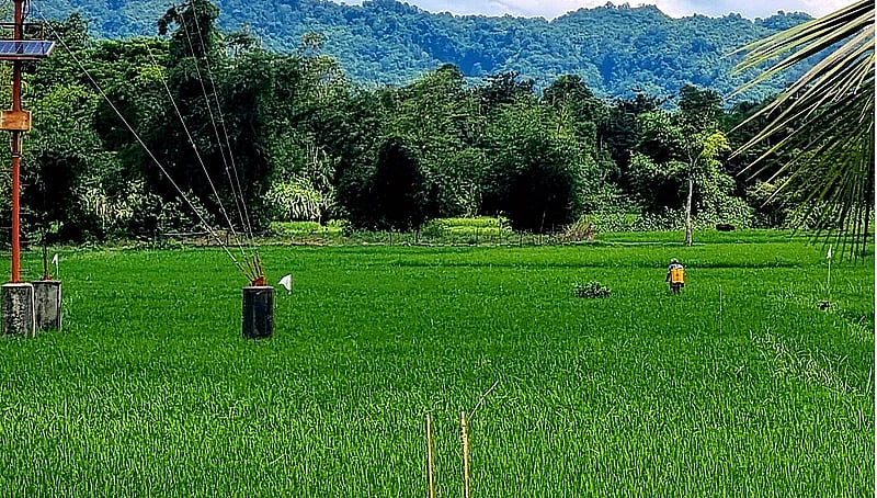 The Rakhine hills are seen in Myanmar from the Tumbru west border of Bandarban in Bangladesh. The paddy field is in Bangladesh