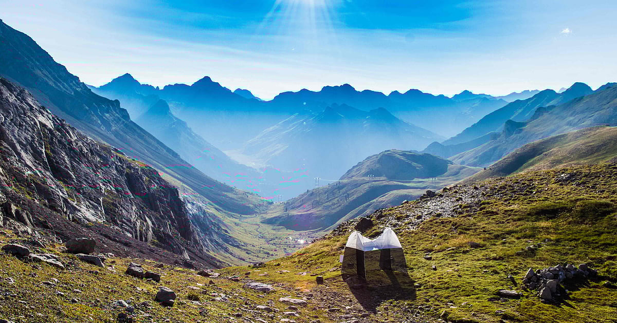 Spectacular Insect Migration: Witness the Magical Phenomenon in ...