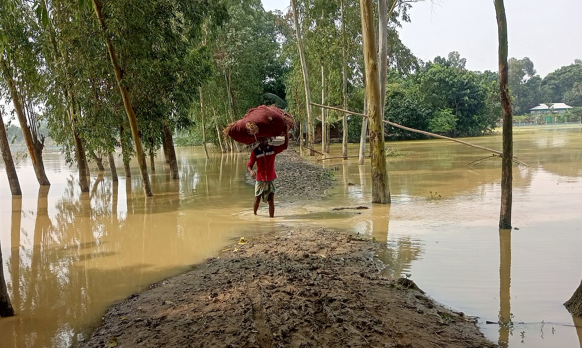 As floodwaters recede slowly in the low-lying areas of Nalitabari, Sherpur, the plight of waterlogged people is increasing. Various parts of the village roads remain submerged, causing difficulties for pedestrians. Bathuarkanda, Nalitabari, Sherpur