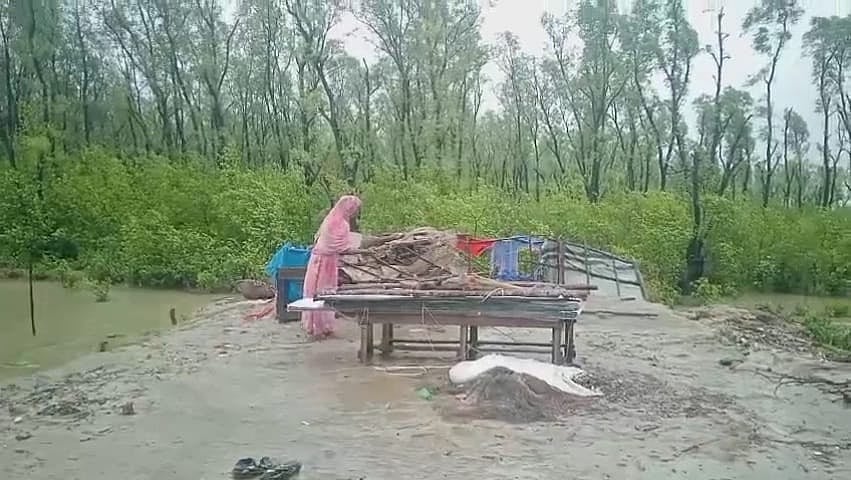 Over 5,000 homes damaged after storm, tidal surge hit Bhola