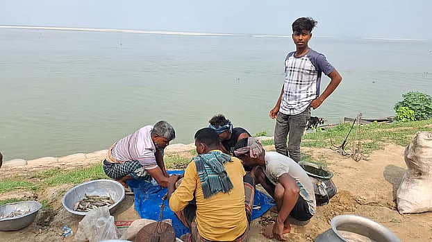 Ariful watches the fishermen selling their catch. His father, Kohinoor Sheikh, used to do the same—catch fish every day and sell them at the riverbank.