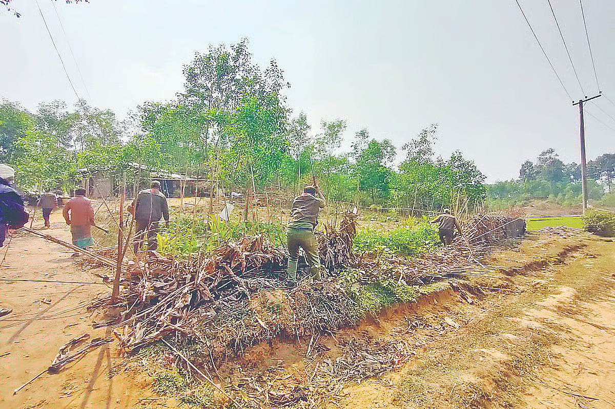 Photo shows an electric pole erected by Palli Bidyut Samity in the Chunati Wildlife Sanctuary under the Chattogram south forest division.