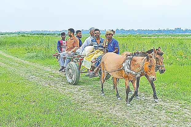 Local char people commuting by horse cart