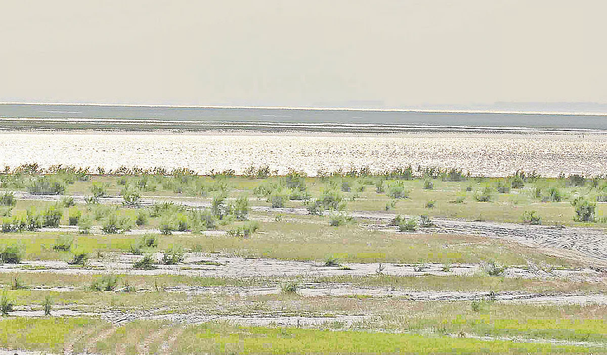 A shoal emerges at the western side of Sabujchar that has emerged at the north-west coastal area of Sandwip at the confluence of Meghna
