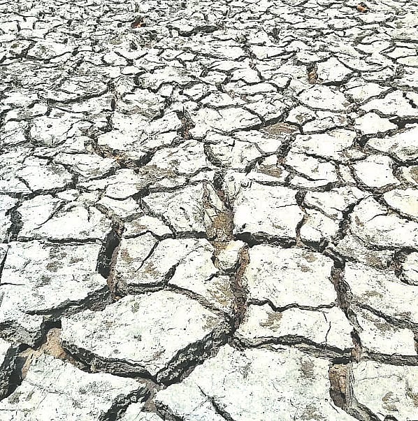 Cracks appear in field due to scarcity of water and scorching sun in the northern distircts